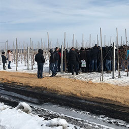 XII международная научно-практическая конференция г. Мичуринск 2019 г.